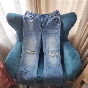Anthropologie Pilcro brand jeans 16W